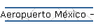 Aeropuerto M�xico - Pamplona