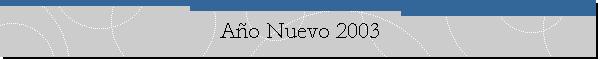 A�o Nuevo 2003