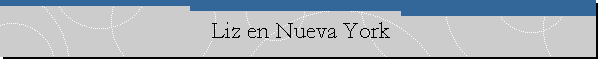 Liz en Nueva York