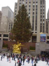 Clic en la foto para verla a toda pantalla: Rockefeller Center