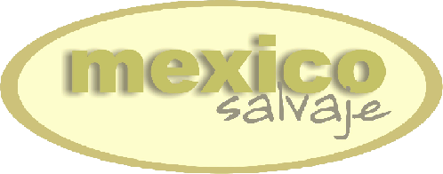 �Te gustan las aventuras y el deporte extremo? visita www.MexicoSalvaje.com y an�mate a unas vacaciones extremas y llenas de diversi�n!!!